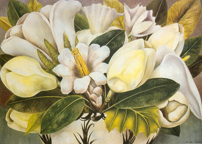 Magnolien