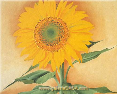 Gemälde Reproduktion von Georgia OKeeffe Eine Sonnenblume von Maggy