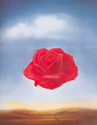 Gemälde Reproduktion von Salvador Dali Meditative Rose