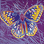 Gemälde Reproduktion von Andy Warhol San Francisco Silverspot-Schmetterling