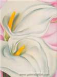 Gemaelde Reproduktion von Georgia OKeeffe, Rosa Calla-Lilien