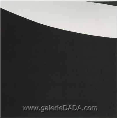 Ellsworth Kelly Negro blanco reproduccione de cuadro