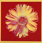 Andy Warhol Daisy reproduccione de cuadro