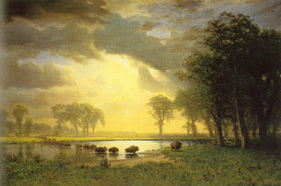 Albert Bierstadt Le sentier du Buffalo reproduction-de-tableau