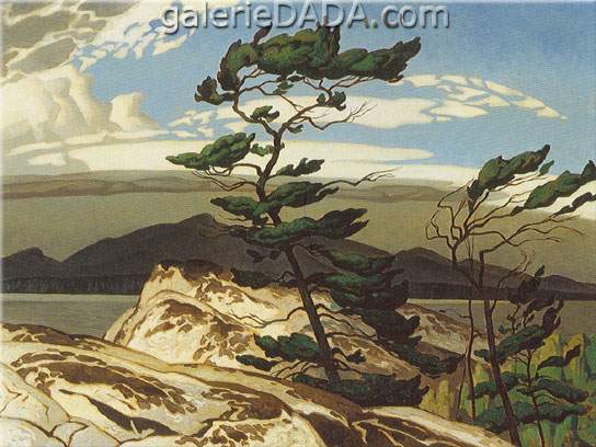 Alfred J. Casson Pin blanc reproduction-de-tableau