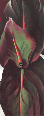 Georgia OKeeffe Feuilles de canna reproduction-de-tableau