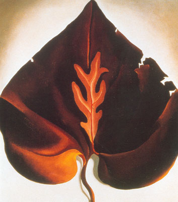 Georgia OKeeffe Feuilles foncées et de lavande reproduction-de-tableau