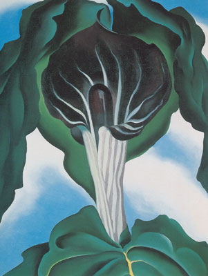 Georgia Okeeffe Jack-in-the-Pulpit n ° 3 reproduction-de-tableau