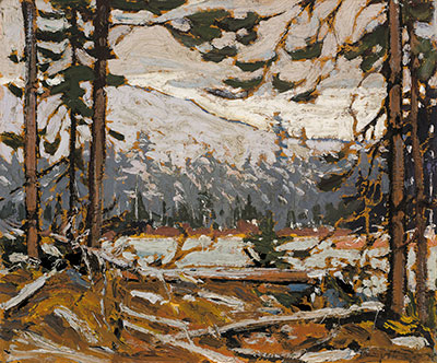 Tom Thomson Woodland Interior, parc Algonquin reproduction-de-tableau