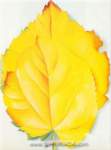 Georgia OKeeffe Feuilles jaunes reproduction de tableau