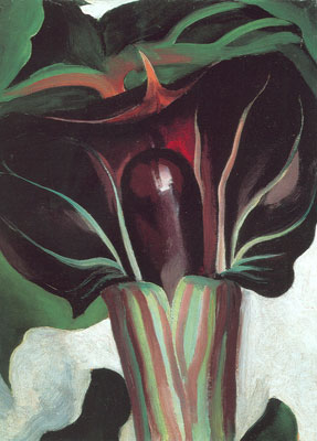 riproduzione-quadri-di Georgia OKeeffe Jack - In - Il - Pulpit No.I