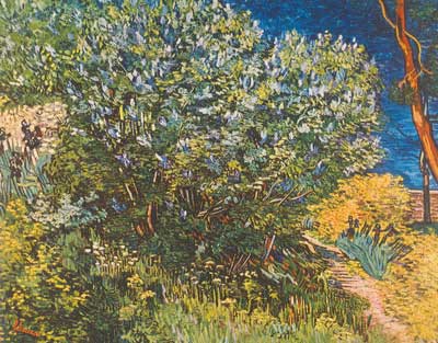 riproduzione-quadri-di Vincent Van Gogh Lilac (vernice Impasto spessa)